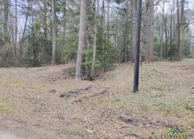 Property at Pine Tree Dr, Harleton, TX 75651