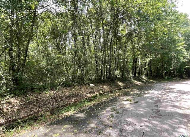 Property at TBD Cr 110, Carthage, TX 75693