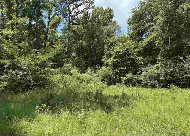 Property at 804 Fox Hunting Rd, Elysian Fields, TX 75642