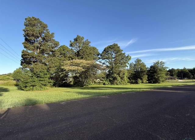 Property at Lot 4 & 5 Falcon St, Tatum, TX 75691