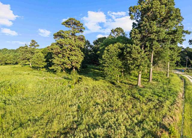 Property at TBD Peter Bonner (tract1), Hallsville, TX 75650