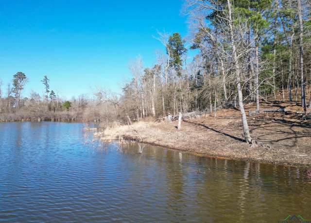 Property at TBD Dallas Loop, Avinger, TX 75630