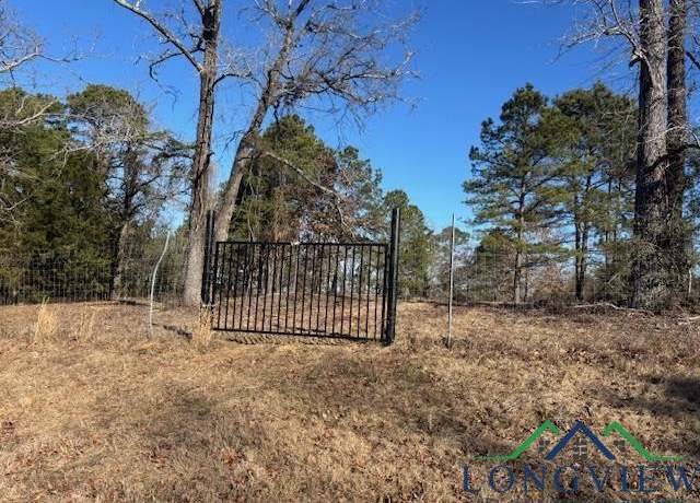 Property at TBD Frances Ln, Diana, TX 75640