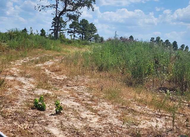 Property at Tract 4 TBD County Rd 1762, Jefferson, TX 75563