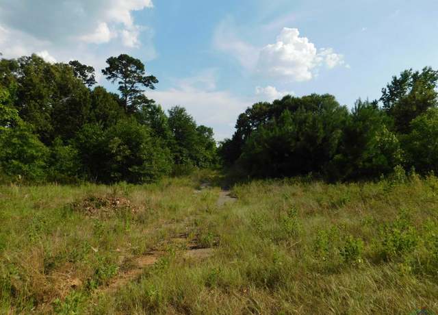 Property at TBD Dollahite, Spring Hill, TX 75604