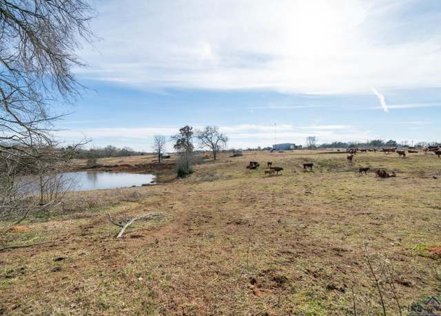 Property at 13304 N Hwy 259, Omaha, TX 75571
