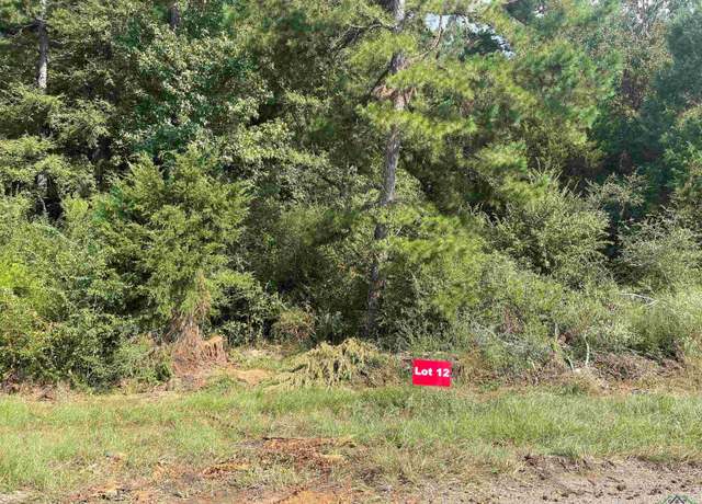 Property at TBD Lot 12 Cr 2204 D & Fm 1797, Tatum, TX 75691