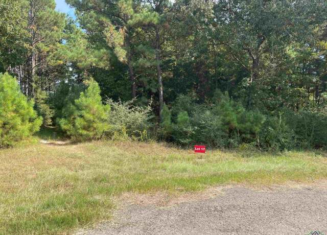 Property at TBD Lot 17 Cr 2204 D & Fm 1797, Tatum, TX 75691