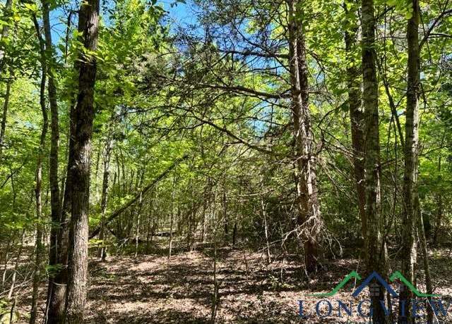 Property at TBD Phillips Springs Rd, Gladewater, TX 75647