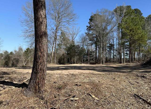 Property at TBD Cr 3151, De Berry, TX 75639
