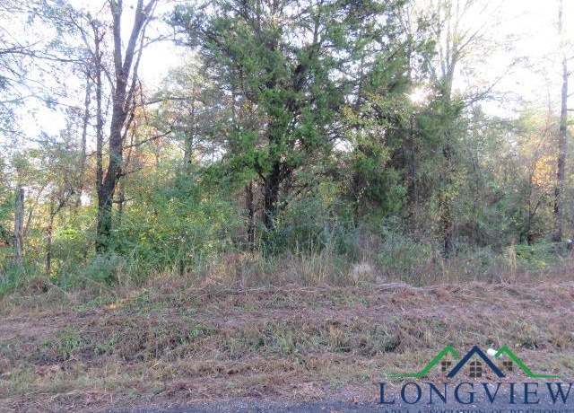 Property at TBD Owl Rd, New Diana, TX 75604