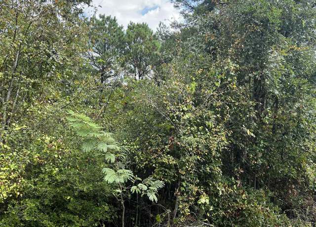 Property at TBD Sarber Rd, Jefferson, TX 75657