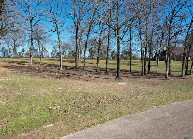 Property at Lot 55 Widgeon Ln, Gilmer, TX 75645