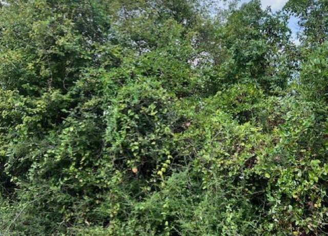 Property at TBD Hwy 49, Jefferson, TX 75657