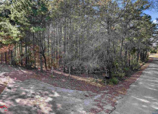 Property at TBD E Cr 311, Henderson, TX 75654