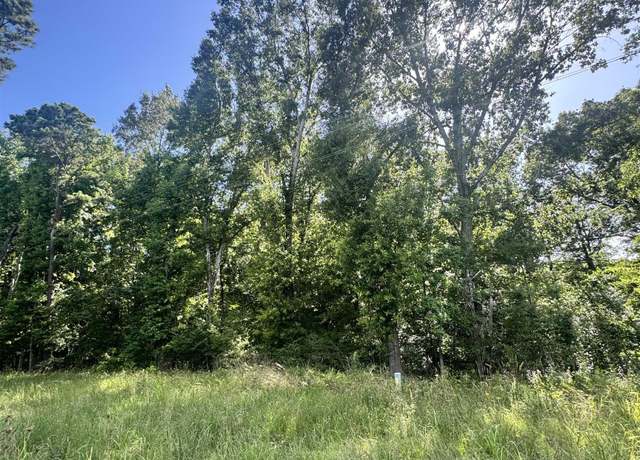 Property at TBD Fm 2658, Tatum, TX 75691
