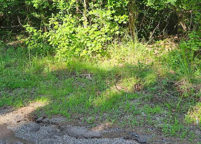 Property at 127 AND 137 Desota, Jefferson, TX 75657