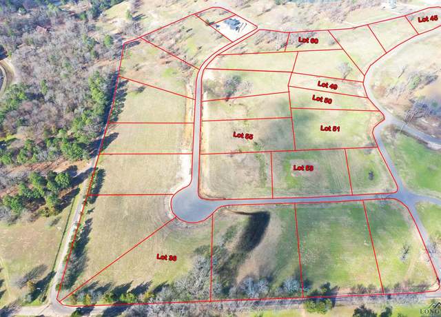 Property at tbd Lot 50 Southshores, Pittsburg, TX 75686