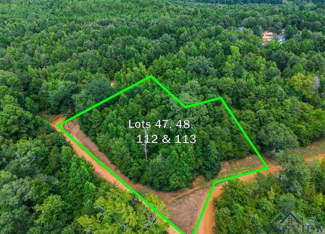 Property at TBD Indian Mound Lake Lot 47, 48 112, And 113, Hawkins, TX 75765