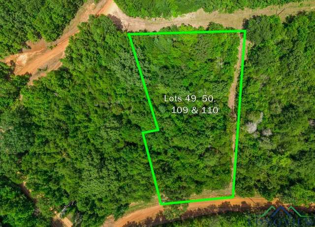 Property at TBD Indian Mound Lake Lots 49, 50, 109, And 110, Hawkins, TX 75765