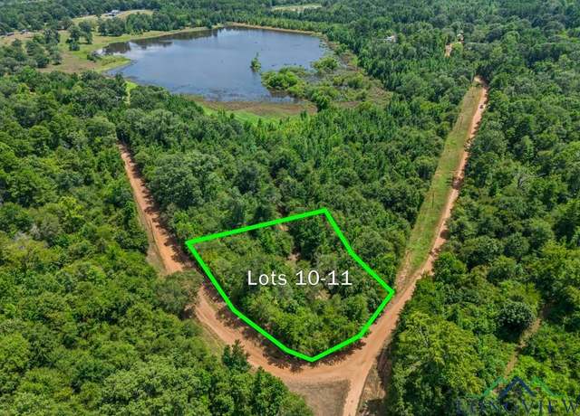 Property at TBD Indian Mound Lake Lots 10 & 11, Hawkins, TX 75765