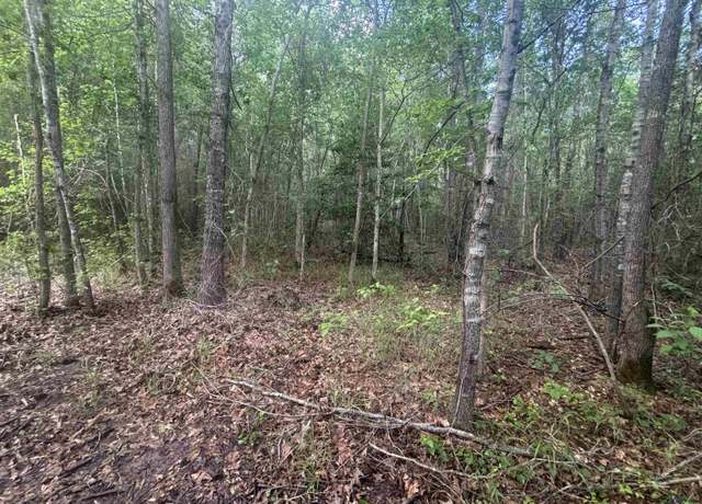 Property at TBD Willie Reed Rd, Jefferson, TX 75657