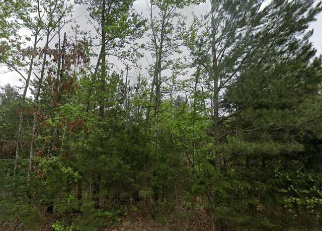 Property at 135 Elam Springs Cemetery Rd, Big Sandy, TX 75755