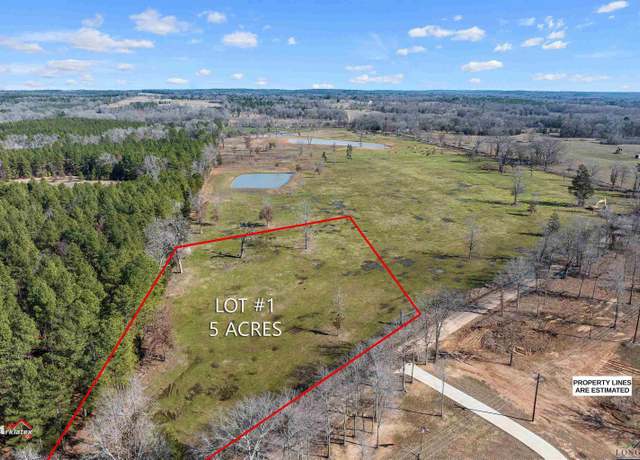 Property at Lot 1 TBD Cr 378, Henderson, TX 75654