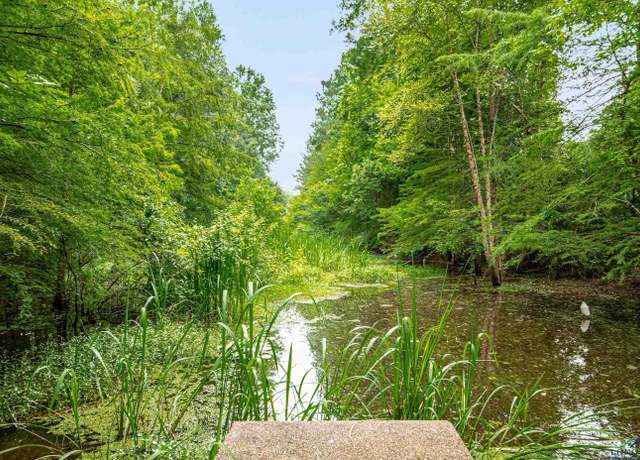 Property at TBD Big Lake Rd, Karnack, TX 75661