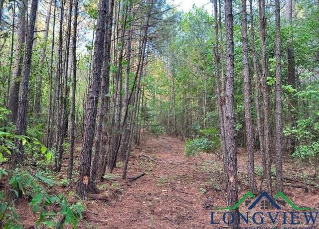 Property at 6145 Private Road 2234, Gilmer, TX 75645