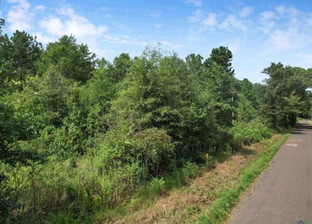 Property at TBD Lilac Ln, Gilmer, TX 75645
