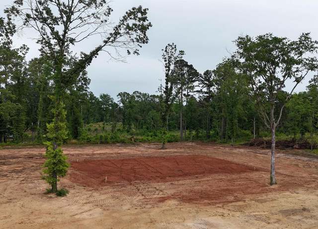 Property at Private Road 1111, Diana, TX 75640