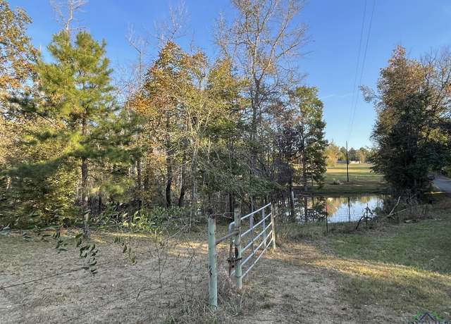 Property at TBD N Sego Lily Rd, Diana, TX 75641