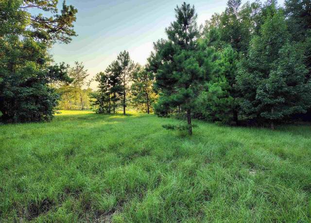 Property at 9751 Ocelot, Gilmer, TX 75644