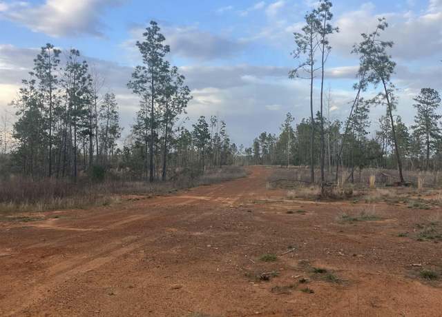 Property at FM 2276 & County Road 243, Kilgore, TX 75662