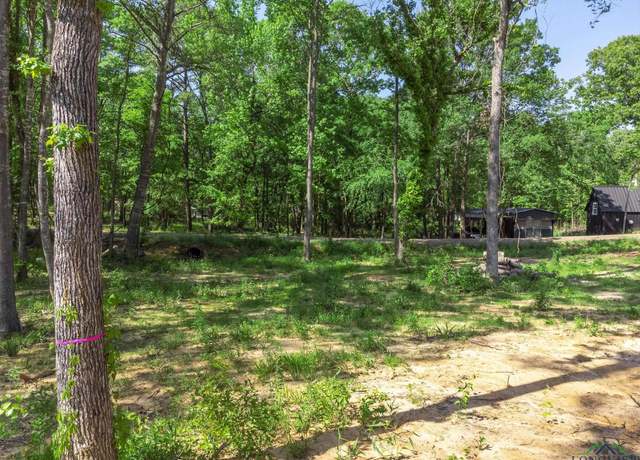 Property at TBD Cactuswood, Gilmer, TX 75645