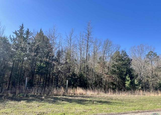 Property at TBD Cr 1400, Mount Pleasant, TX 75455