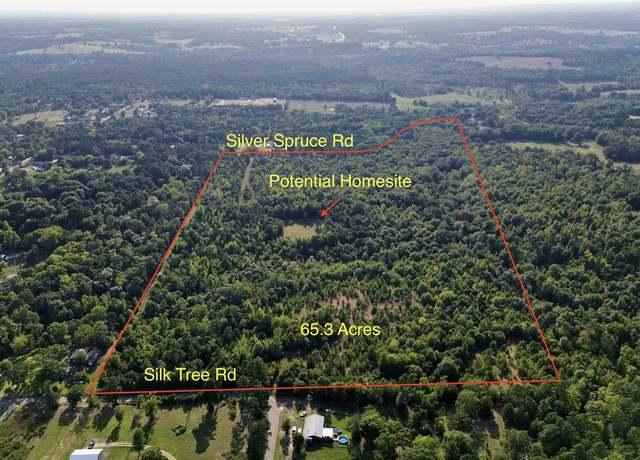 Property at TBD Silver Spruce Rd, Gilmer, TX 75645