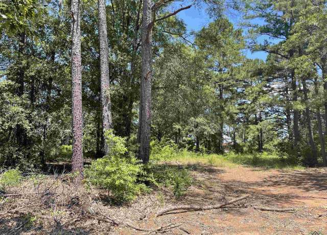 Property at TBD Fm 1970, Carthage, TX 75633