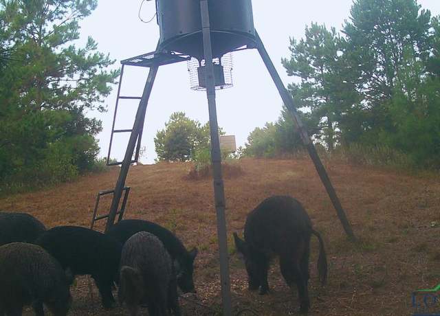 Property at TBD County Road 1634, Linden, TX 75563
