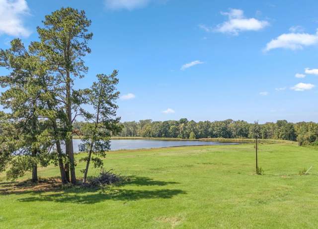 Property at Lot 1-3 W Cr 4177, Laneville, TX 75667