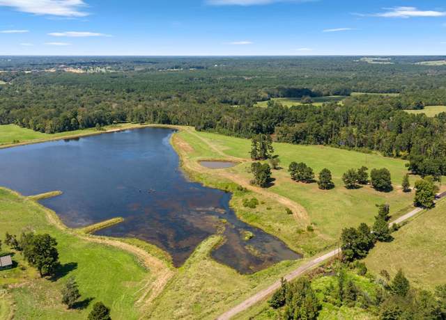 Property at 20 Acre TBD W Cr 4177, Laneville, TX 75667