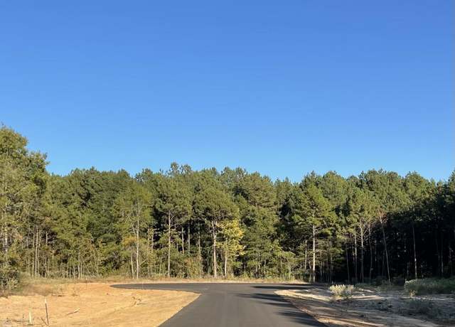 Property at TBD LOT 7 Stonebrook Ct, New Diana, TX 75640