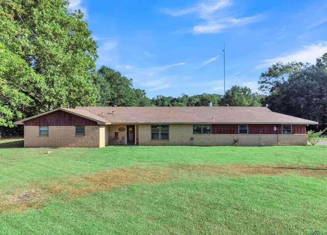 Property at 11709 Kildee Rd, Diana, TX 75640, 3 beds, 2 baths