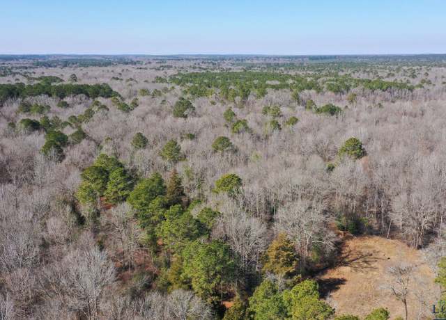 Property at 0000 Private Road Easement Off TX Hwy 43, Bivins, TX 75555