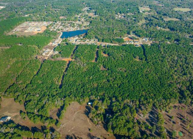 Property at TBD S Sego Lily Rd E/sid Diana, Tx, Diana, TX 75640