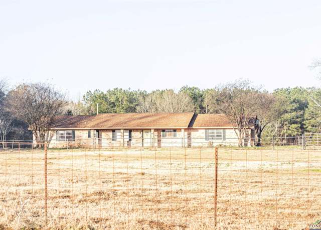 Property at 599 Cr 4206, Daingerfield, TX 75638, 3 beds, 2 baths