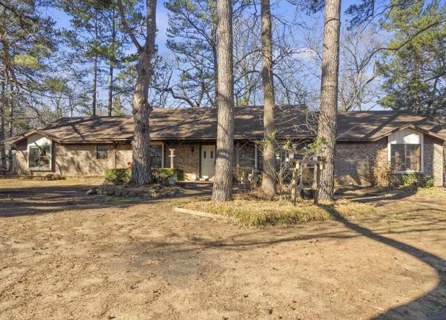 Property at 12869 N Highway 259, Omaha, TX 75571, 3 beds, 2.5 baths