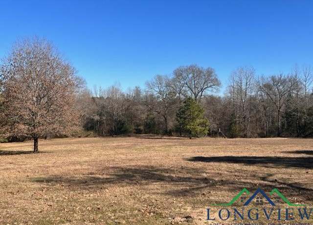 Property at 1601 County Road 1582, Avinger, TX 75630