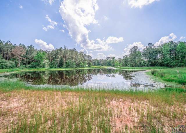 Property at TBD W Fm 999, Gary, TX 75643
